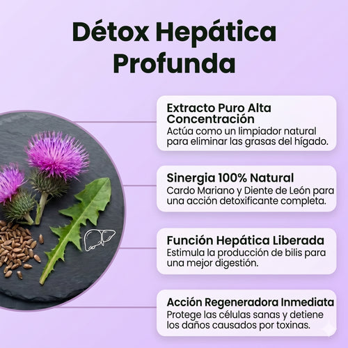 Gotas de Cardo Mariano y Diente de León | Fórmula Detox Hepático