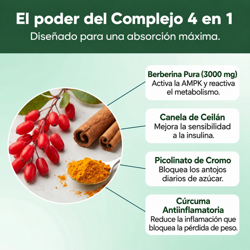 Complejo de berberina 4 en 1 | Metabolismo y azúcar en sangre